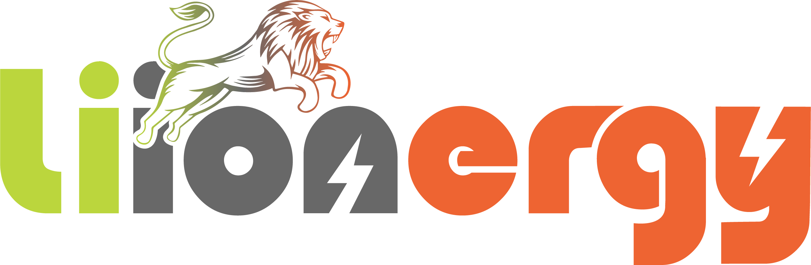 Liionergy Manufacturing